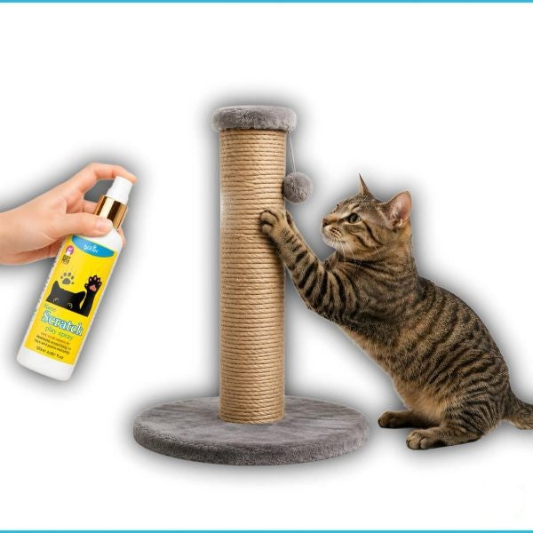 Thai Buddy Scratch Play Spray | Scratch Attraction Spray