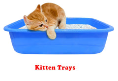 Kitten Litter Tray