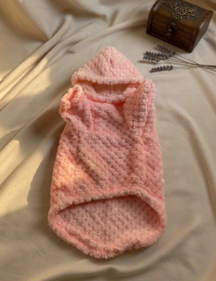 Winter Hoodies for Cats