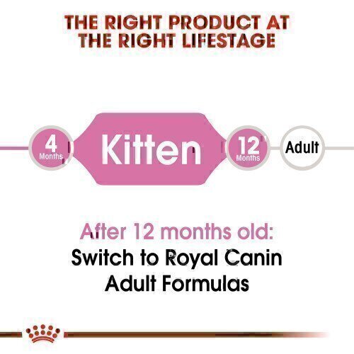 Royal Canin Kitten Dry Cat Food