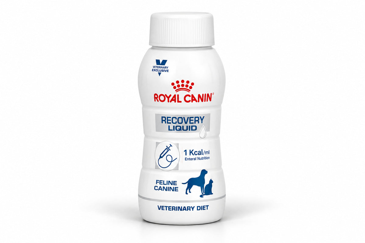 Royal Canin Recovery Liquid for Cats and Dogs 200ml
