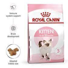 Royal Canin Kitten Food 2