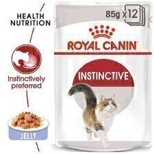 royal canin instinctive jelly