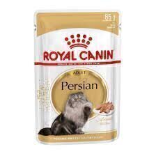 royal canin persian adult jelly