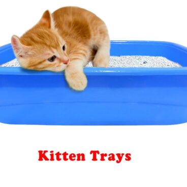 Paw Comfort Kitten Litter Tray