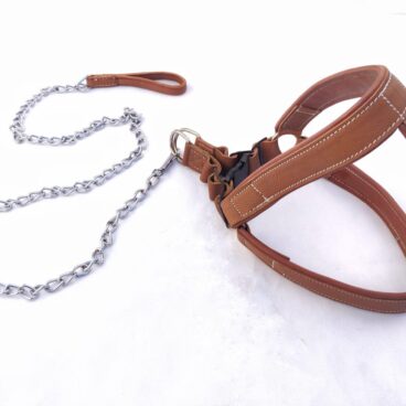 Dog Leather Harness with Chain Leash