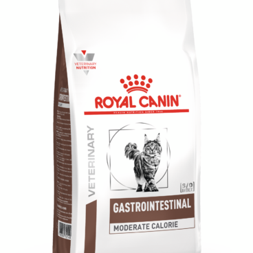 Royal Canin Gastrointestinal Adult Cat Food