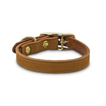 Leather Collar for Dogs
