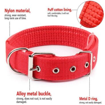 Nylon Collar with Foam for Dogs