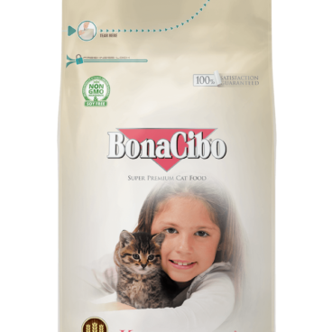 Bonacibo Kitten