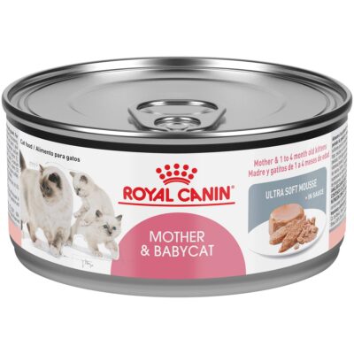 Royal Canin Mother and Baby Jelly Tin