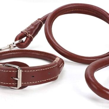 Dog Leather Leash with Collar