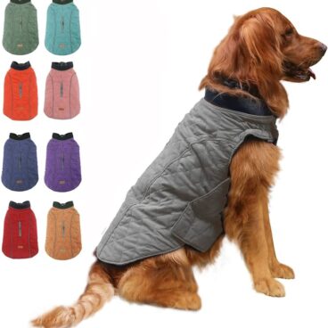 Jacket for Dogs