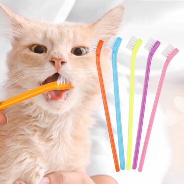 Pet Toothbrush Long