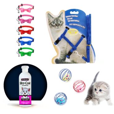 Cat Essentials Bundle