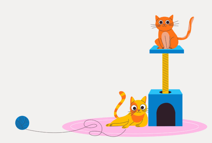 9 Cat Toys You Should Buy for Your Pet
