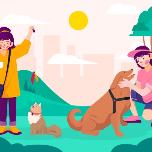 Summertime Safety for Pets in Pakistan: A Complete Guide
